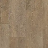 Виниловый ламинат Tarkett Future House Gregor