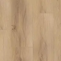 Виниловый ламинат Tarkett Future House Jonas
