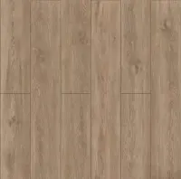 SPC ламинат Planker ABA Expert 6mm Дуб Холл 9010