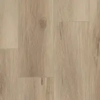 Виниловый ламинат Tarkett Future House Chester