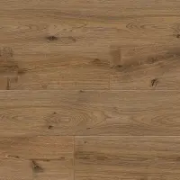 Ламинат Floorwood Paradigma Дуб Новион 8317