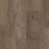 Виниловый ламинат Tarkett Future House Willy
