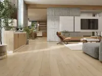 SPC ламинат EvoFloor Home Ясень Светлый L-20275
