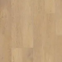 Виниловый ламинат Tarkett Future House Dion