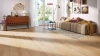 Инженерная доска Haro Strip Allegro 4000 Series Клён канадский фаворит 548142