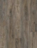 SPC ламинат EvoFloor Home Дуб Пепельный L-20246