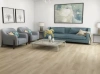 Виниловый ламинат SPC ламинат Floorwood Joy Фан 7052