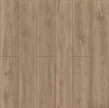 SPC ламинат Planker ABA Expert 6mm Дуб Холл 9010