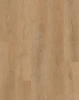 SPC ламинат EvoFloor Home Дуб Медовый L-29266