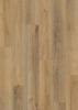 SPC ламинат EvoFloor Home Дуб Горный L-20314