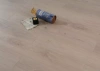 Ламинат Lamiwood Select 8 817 Дуб Бежевый