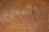 Ламинат Boho Floors Oak Natural V 1222